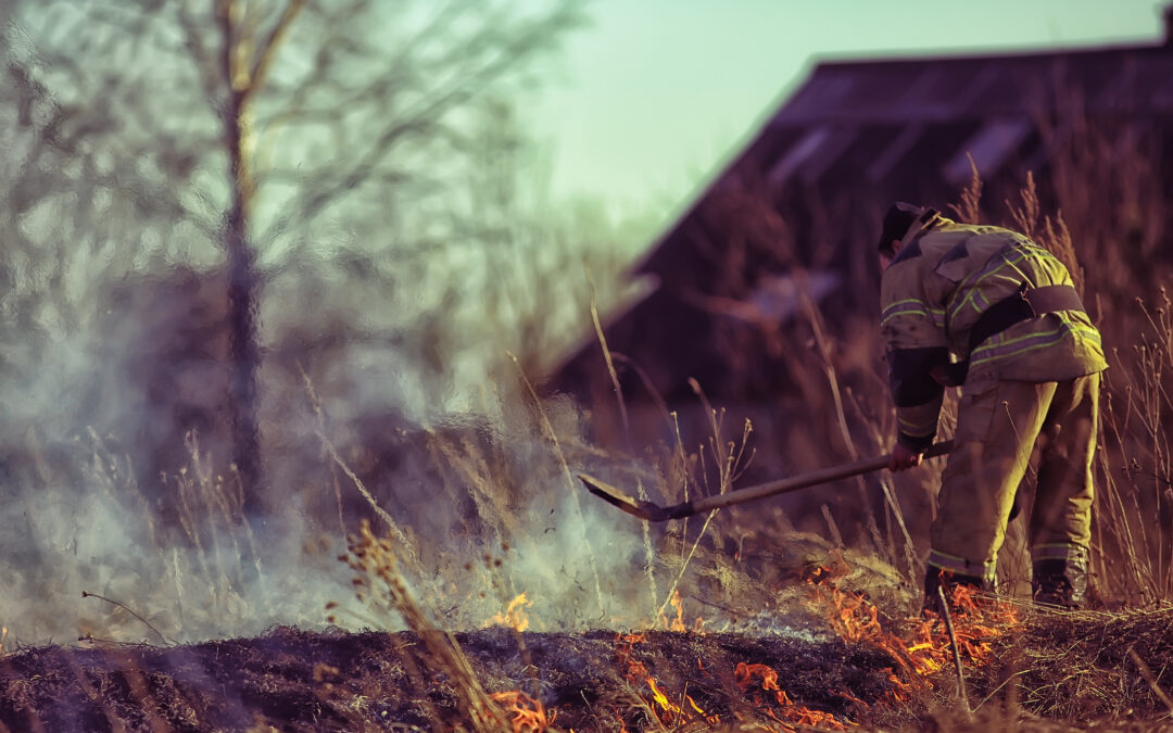 Intervention incendie dans les structures des zones forestières, agricoles et d’interface.