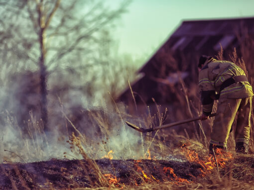 Intervention incendie dans les structures des zones forestières, agricoles et d’interface.