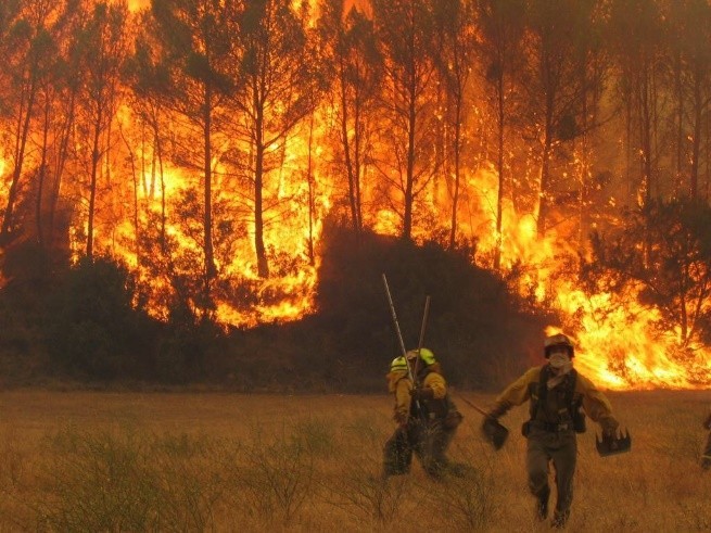 Protección contra incendios forestales para bomberos