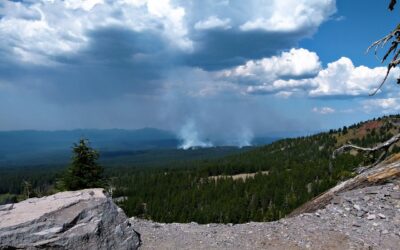 Research on the causes of death of forest firefighters in Southern Europe