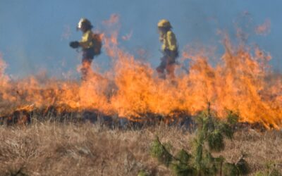 Analyse des causes de décès de pompiers dans les incendies de forêt aux États-Unis
