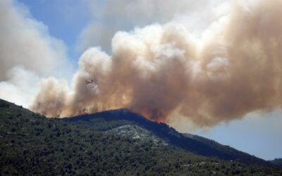 Quelles sont les principales causes des pièges causés par les feux de forêt?