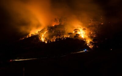 What is the protocol in case of entrapment in a wildfire in the United States?